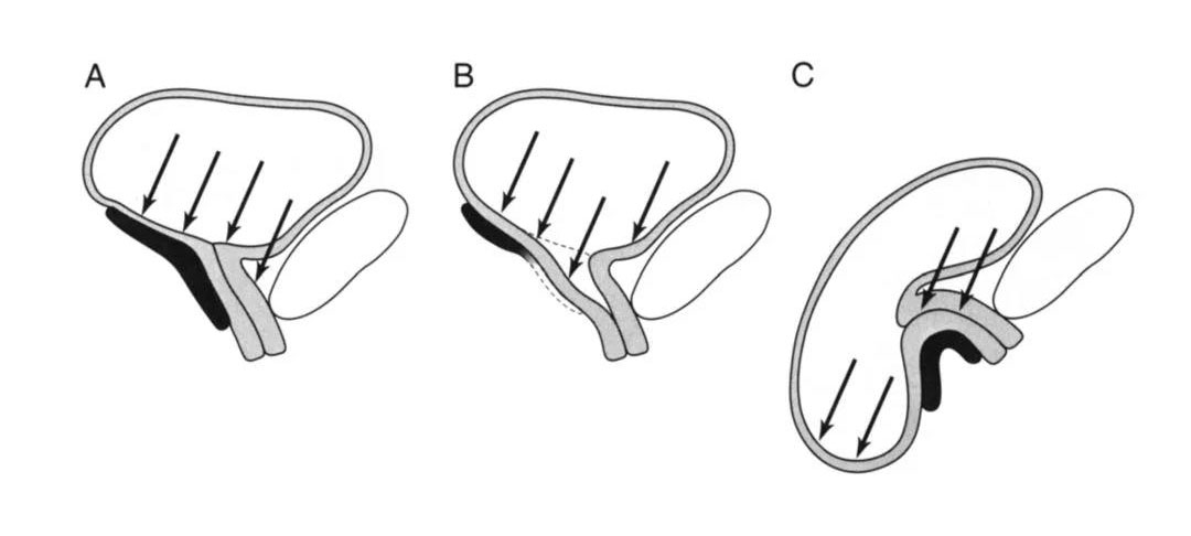 δ-2.jpg